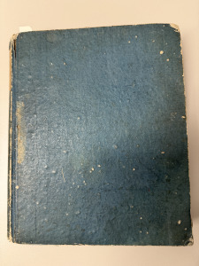 Thumbnail: Allgemeiner Anzeiger und Erzähler – Seite 1