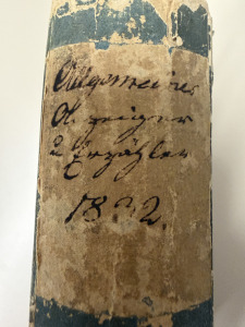 Thumbnail: Allgemeiner Anzeiger und Erzähler – Seite 2